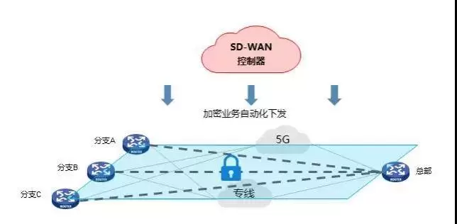 【合肥日报】加密与计算量子领域双突破